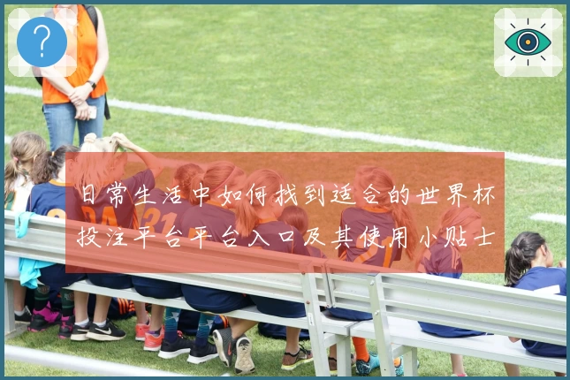 日常生活中如何找到适合的世界杯投注平台平台入口及其使用小贴士