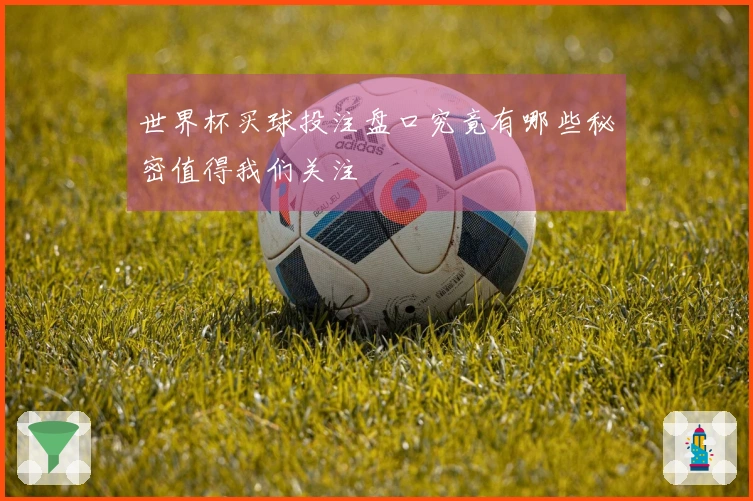 世界杯买球投注盘口究竟有哪些秘密值得我们关注