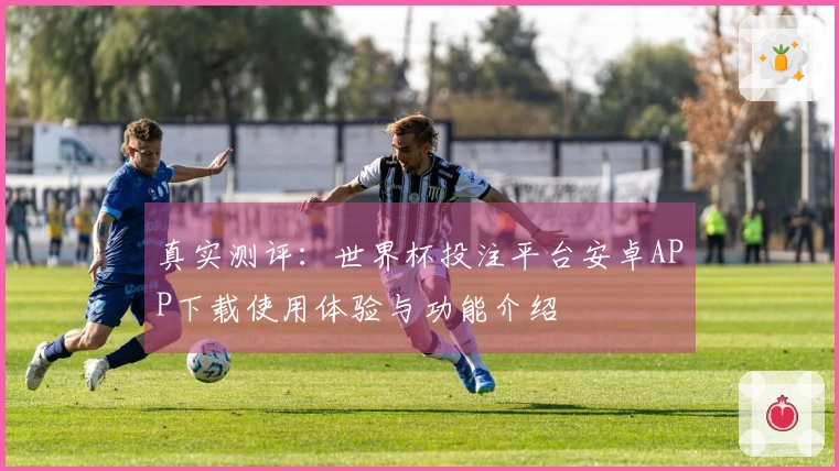 真实测评：世界杯投注平台安卓APP下载使用体验与功能介绍