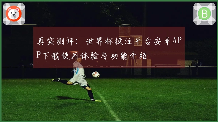 真实测评：世界杯投注平台安卓APP下载使用体验与功能介绍
