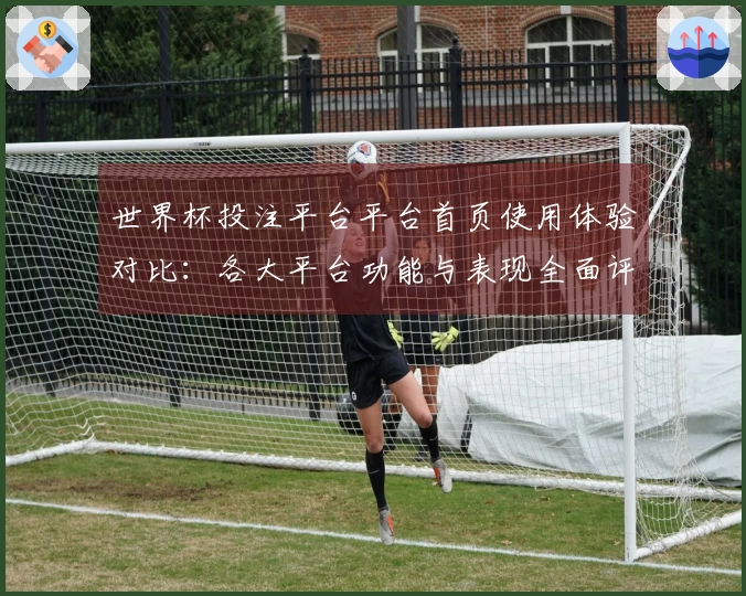 世界杯投注平台平台首页使用体验对比：各大平台功能与表现全面评测
