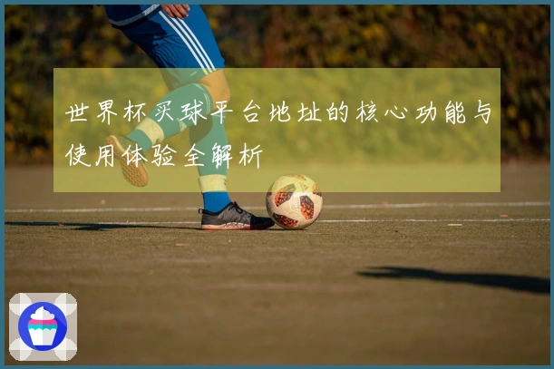 世界杯买球平台地址的核心功能与使用体验全解析