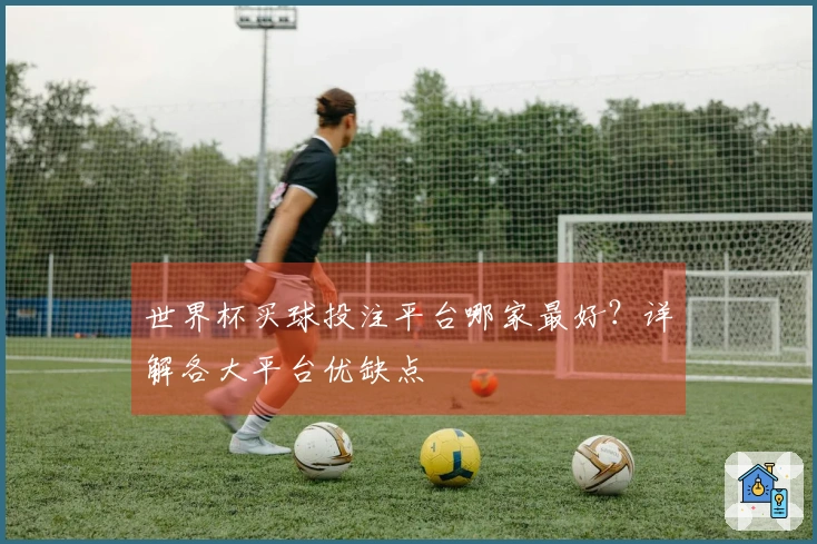 世界杯买球投注平台哪家最好？详解各大平台优缺点