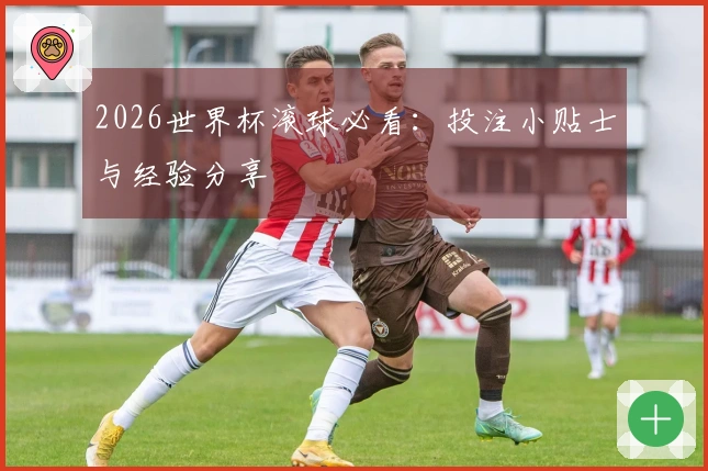 2026世界杯滚球必看：投注小贴士与经验分享