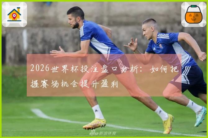 2026世界杯投注盘口分析：如何把握赛场机会提升盈利