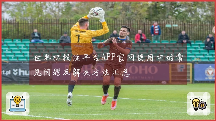 世界杯投注平台APP官网使用中的常见问题及解决方法汇总