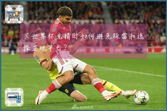买世界杯竞猜时如何避免踩雷和选择正规平台？