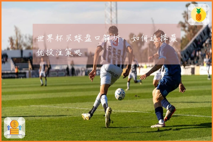 世界杯买球盘口解析，如何选择最优投注策略