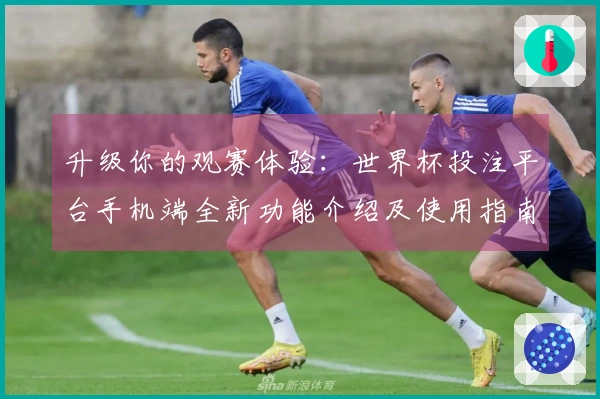 升级你的观赛体验：世界杯投注平台手机端全新功能介绍及使用指南