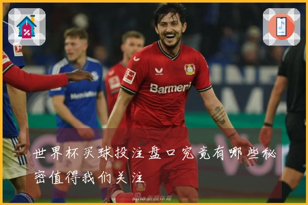 世界杯买球投注盘口究竟有哪些秘密值得我们关注