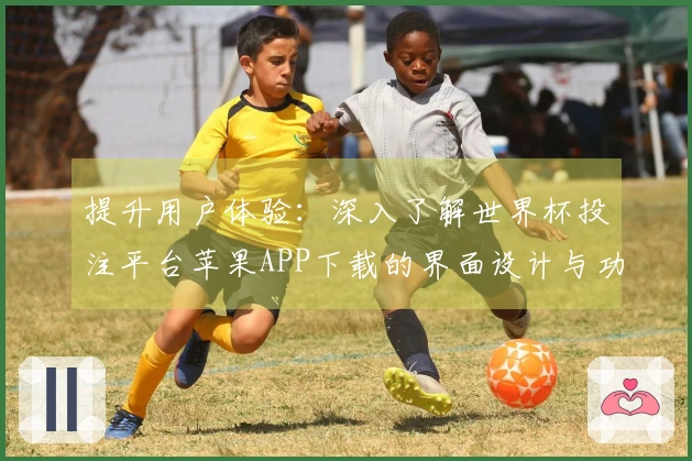 提升用户体验：深入了解世界杯投注平台苹果APP下载的界面设计与功能布局