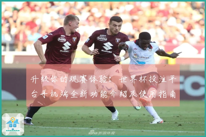 升级你的观赛体验：世界杯投注平台手机端全新功能介绍及使用指南