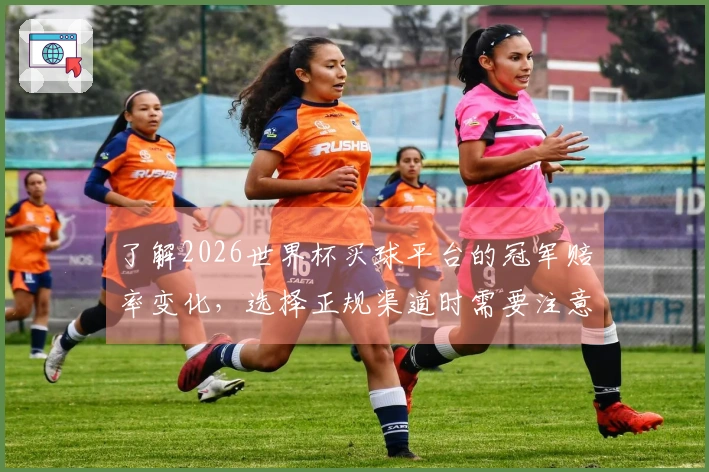 了解2026世界杯买球平台的冠军赔率变化，选择正规渠道时需要注意哪些关键指标