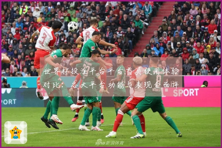 世界杯投注平台平台首页使用体验对比：各大平台功能与表现全面评测